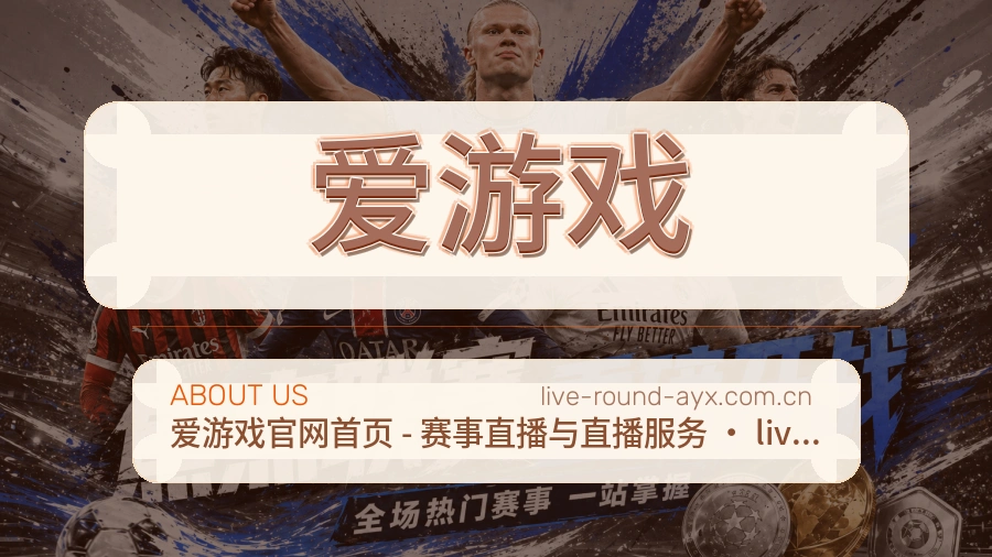 爱游戏关于平台与用户服务展示